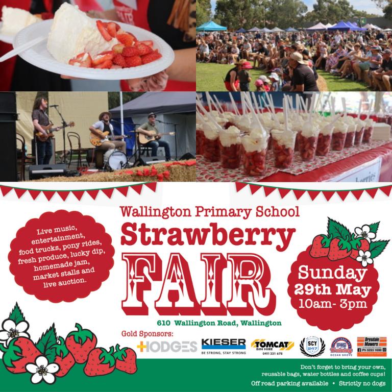 The 2022 Wallington strawberry fair